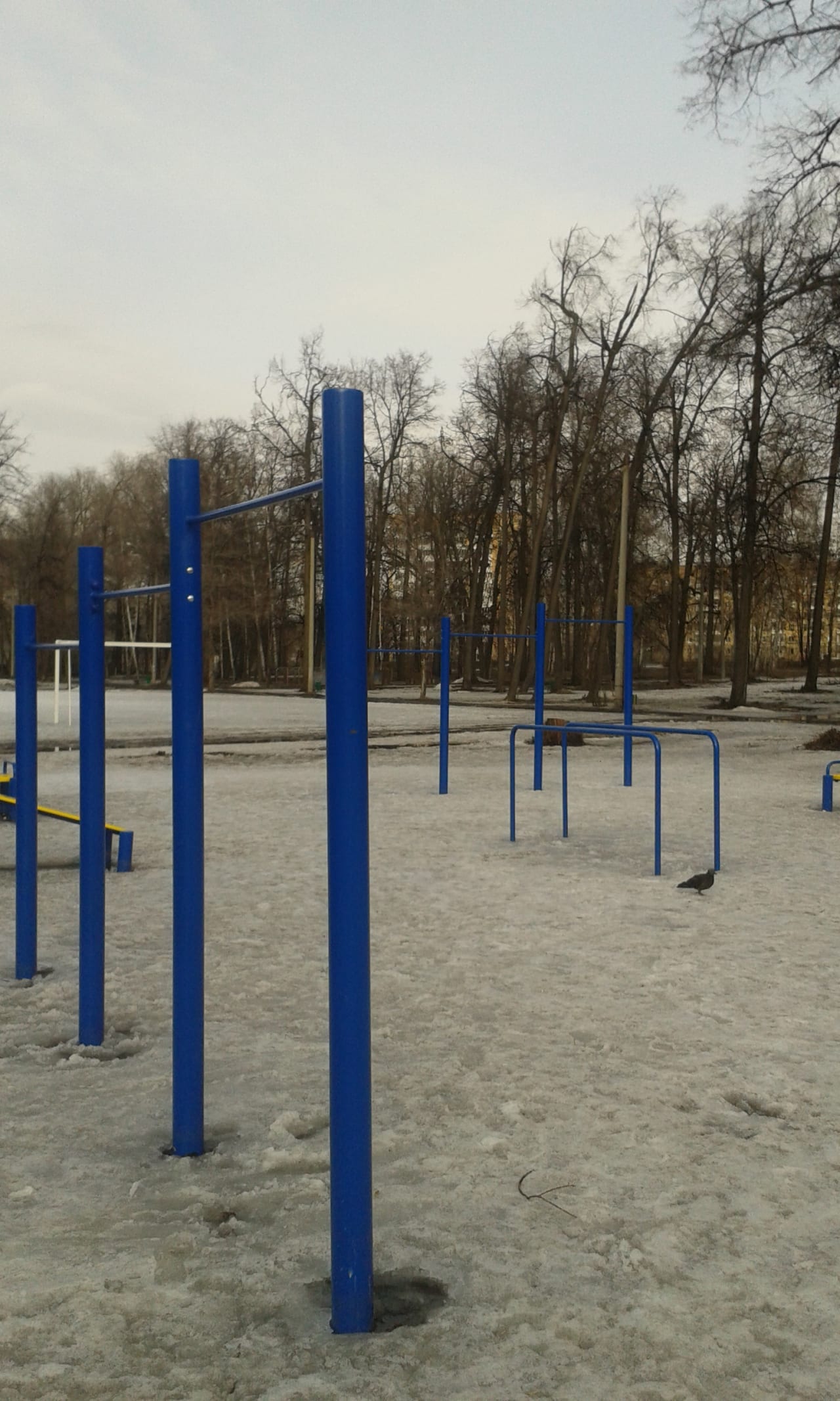 Sprossenwand bei Calisthenics Park at проспект Ямашева, Казань – Foto 4 von 5