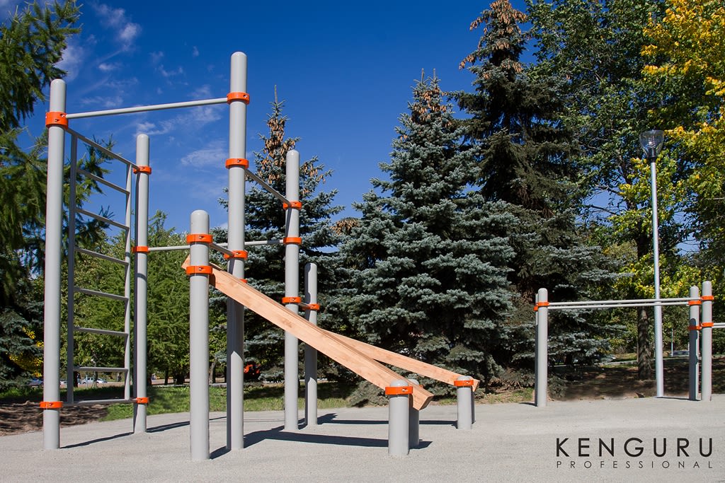 Monkey Bars at Calisthenics Park at Тропарёвская улица, Москва – photo 3 of 4
