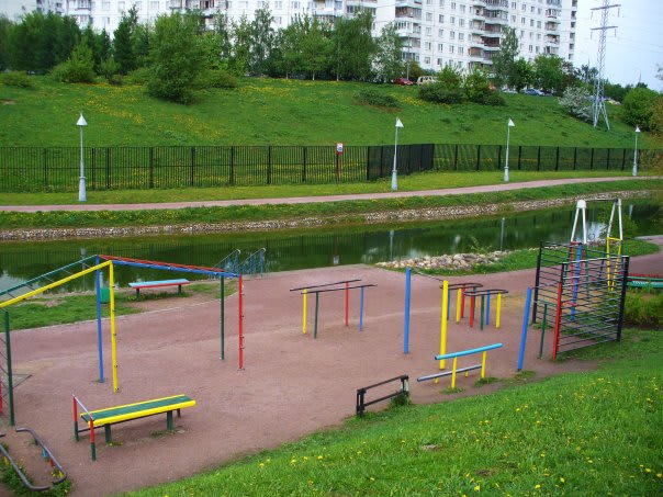 Wall Bars at Calisthenics Park at улица Раменки, Москва – photo 4 of 4