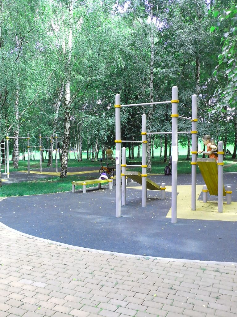 Monkey Bars at Calisthenics Park at проезд Шокальского, Москва – photo 3 of 4