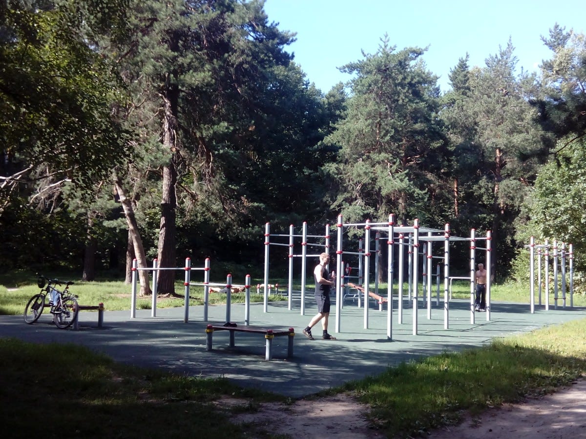 Pull Up Bar at Calisthenics Park at Кузьминская улица, Москва – photo 1 of 1