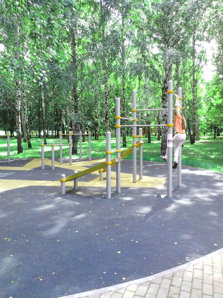 Pull Up Bar at Calisthenics Park at проезд Шокальского, Москва – photo 1 of 4