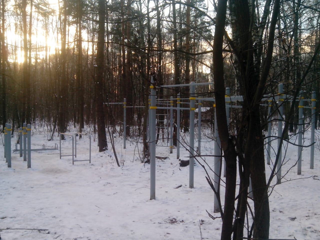 Monkey Bars at Calisthenics Park at Главная дорога, Москва – photo 4 of 4