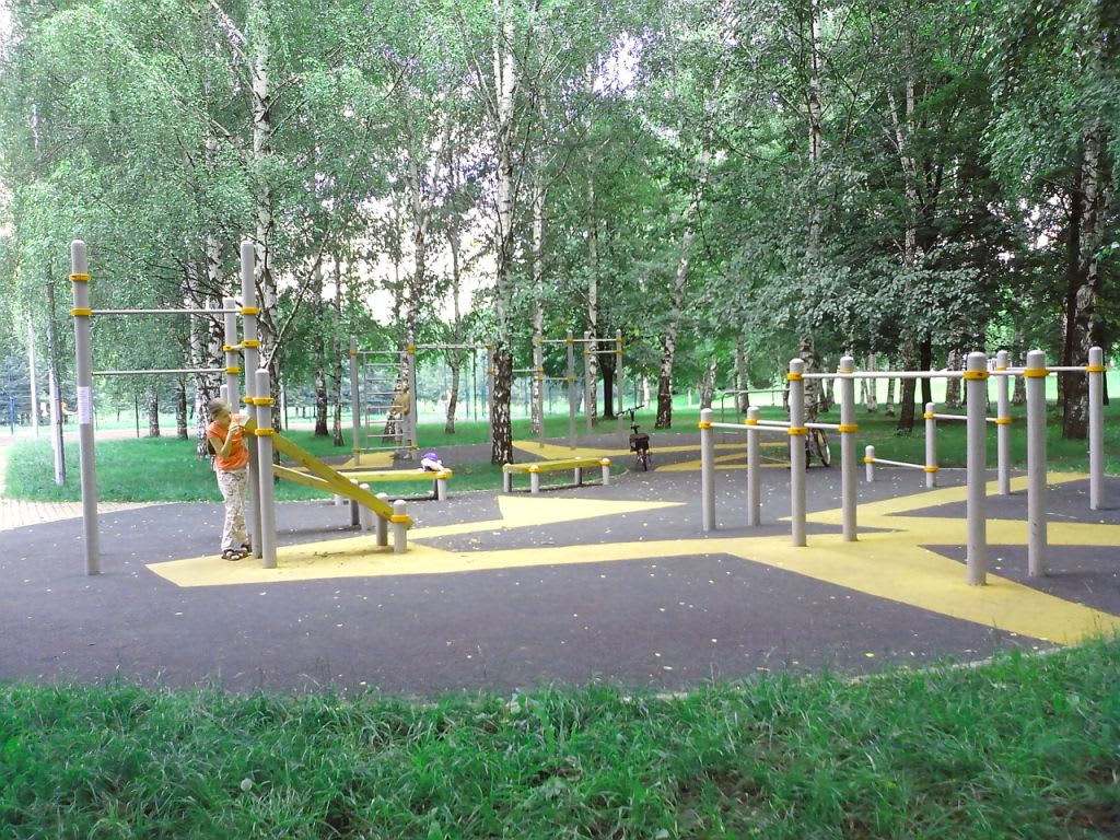 Wall Bars at Calisthenics Park at проезд Шокальского, Москва – photo 4 of 4