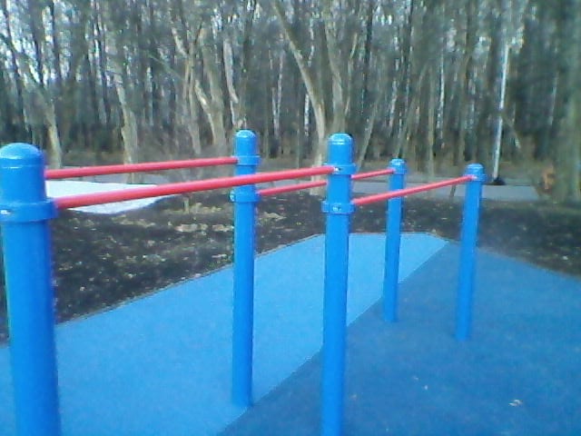 Pull Up Bar at Calisthenics Park at Большая Академическая улица, Москва #wp1431 – photo 6 of 7
