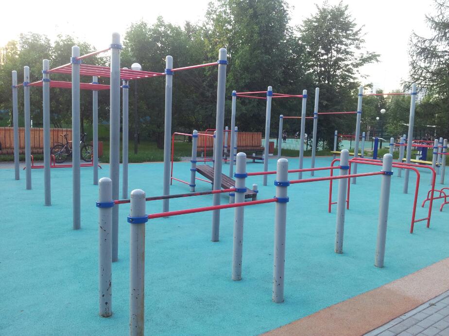 Monkey Bars at Calisthenics Park at проезд Олимпийской Деревни, Москва – photo 3 of 4