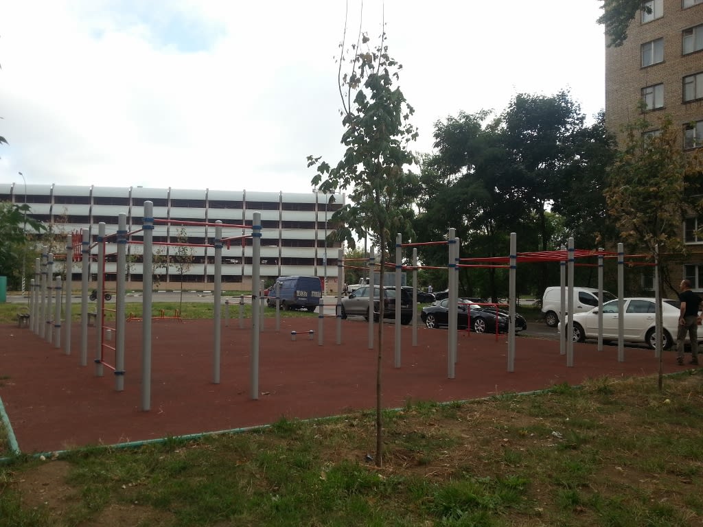 Monkey Bars at Calisthenics Park at Международная улица, Москва – photo 3 of 4
