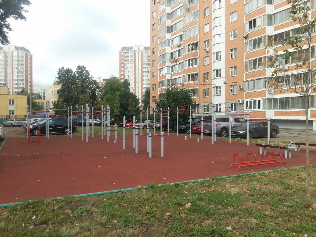 Parallel Gym Bars at Calisthenics Park at Международная улица, Москва – photo 2 of 4