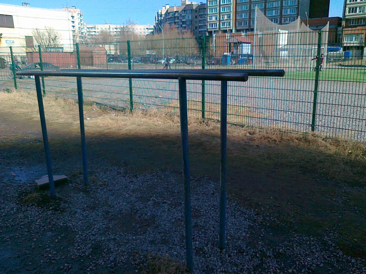 Monkey Bars at Calisthenics Park at Боцманская улица, Санкт-Петербург – photo 3 of 7