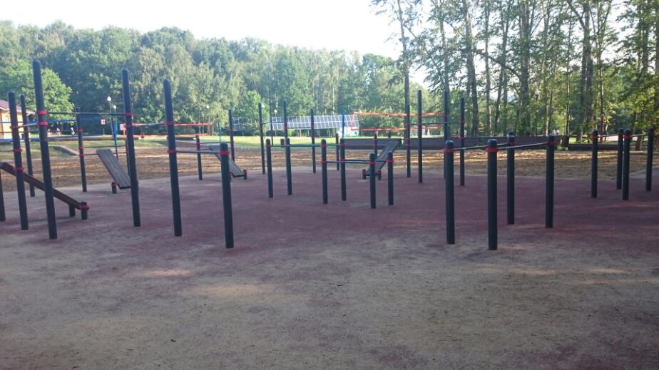 Pull Up Bar at Calisthenics Park at улица Академика Виноградова, Москва – photo 1 of 3