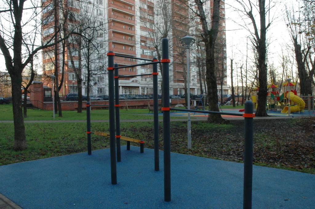 Push Up Bar at Calisthenics Park at улица Долгова, Москва – photo 5 of 7
