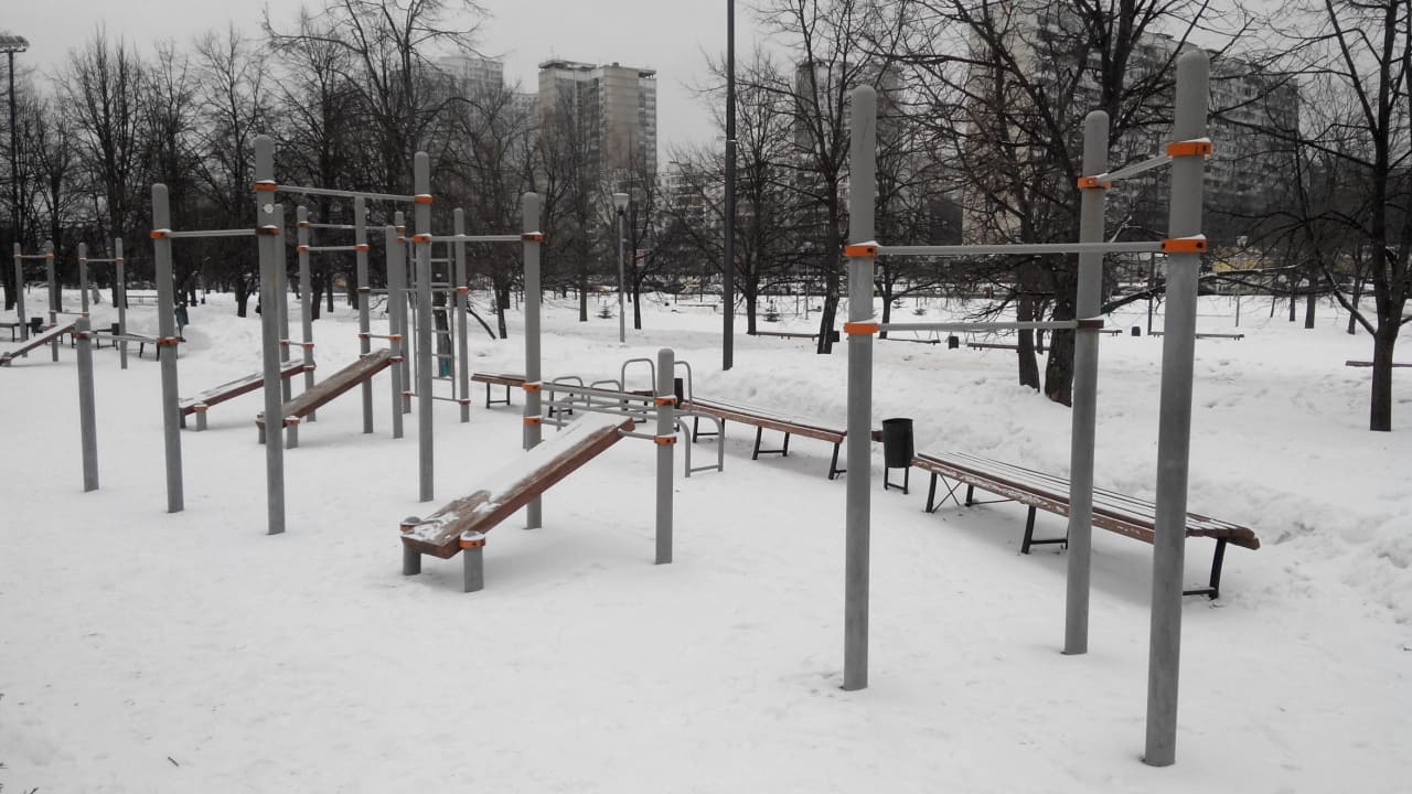 Monkey Bars at Calisthenics Park at Рузская улица, Москва – photo 8 of 8