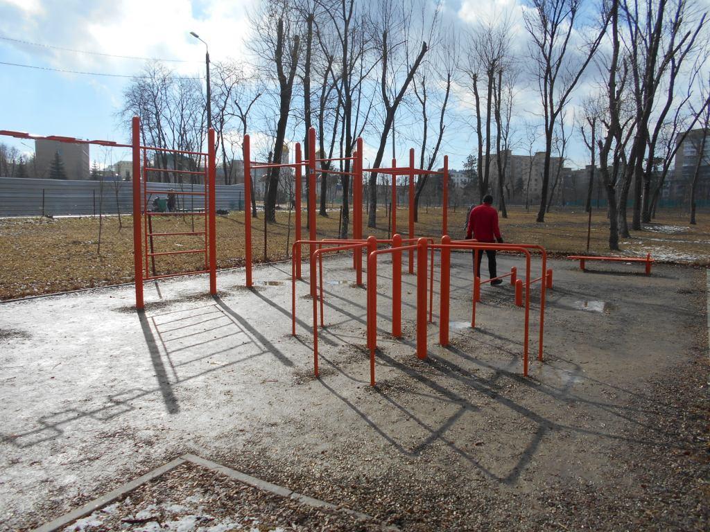 Monkey Bars at Calisthenics Park at проспект Михаила Нагибина, Ростов-на-Дону – photo 3 of 3