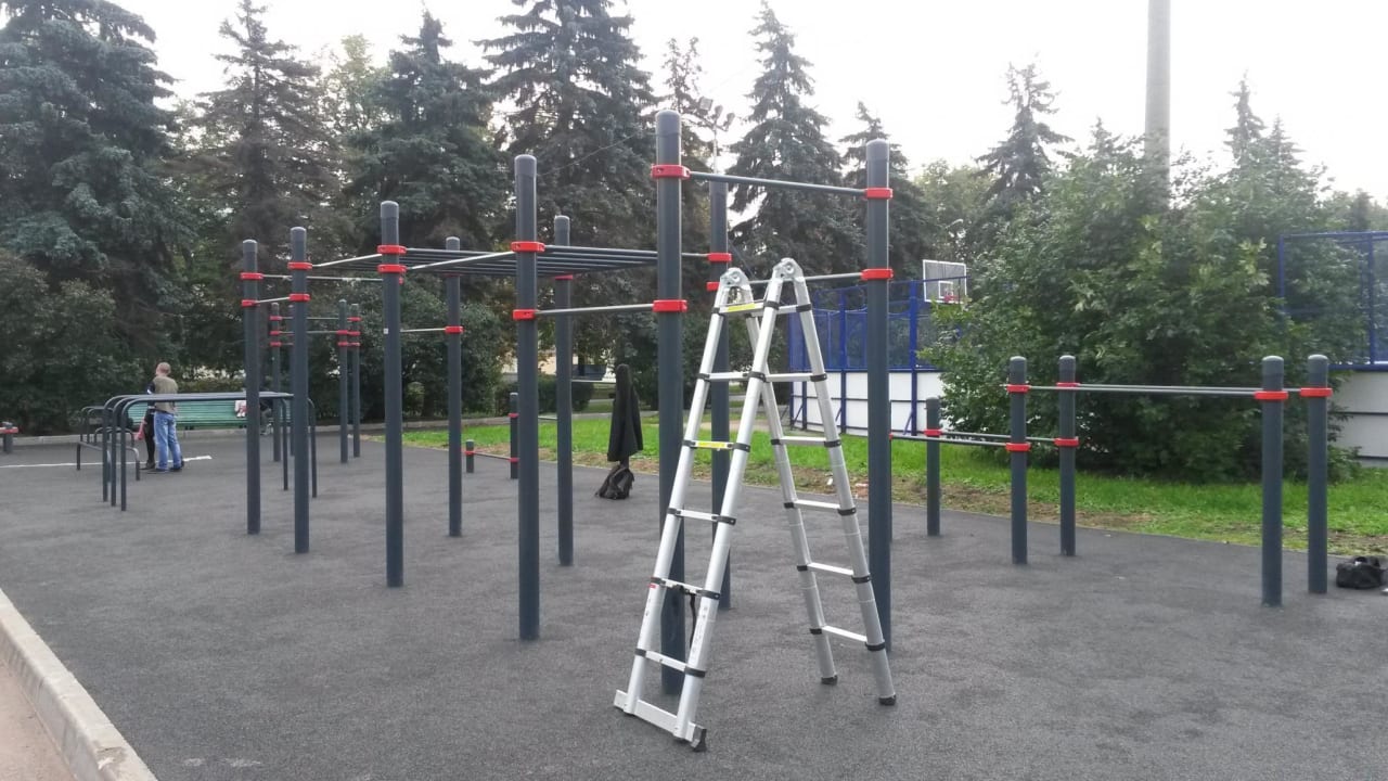 Monkey Bars at Calisthenics Park at улица Академика Хохлова, Москва – photo 3 of 4