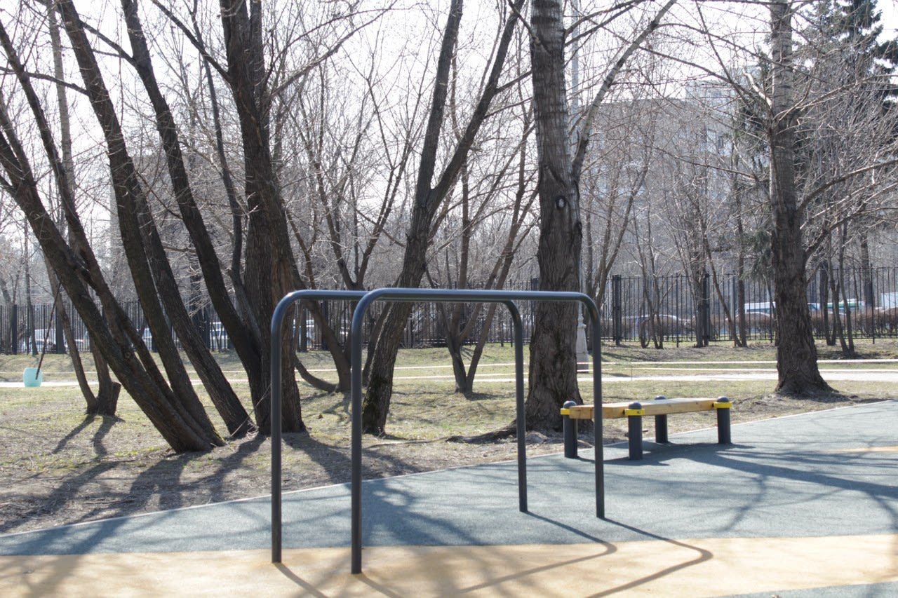Monkey Bars at Calisthenics Park at проспект Андропова, Москва – photo 3 of 14