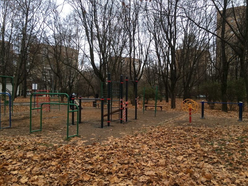 Wall Bars at Calisthenics Park at улица Дубки, Москва – photo 3 of 3