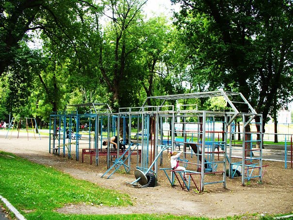 Pull Up Bar at Calisthenics Park at проспект Будённого, Москва – photo 1 of 1