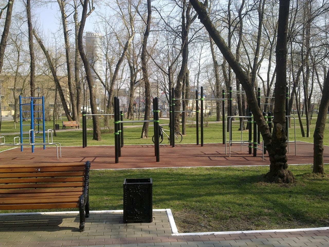 Parallel Gym Bars at Calisthenics Park at 1-й Краснокурсантский проезд, Москва – photo 2 of 2