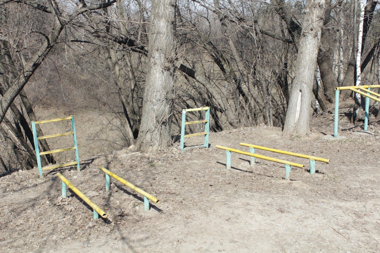 Wall Bars at Calisthenics Park at проспект Андропова, Москва – photo 10 of 14