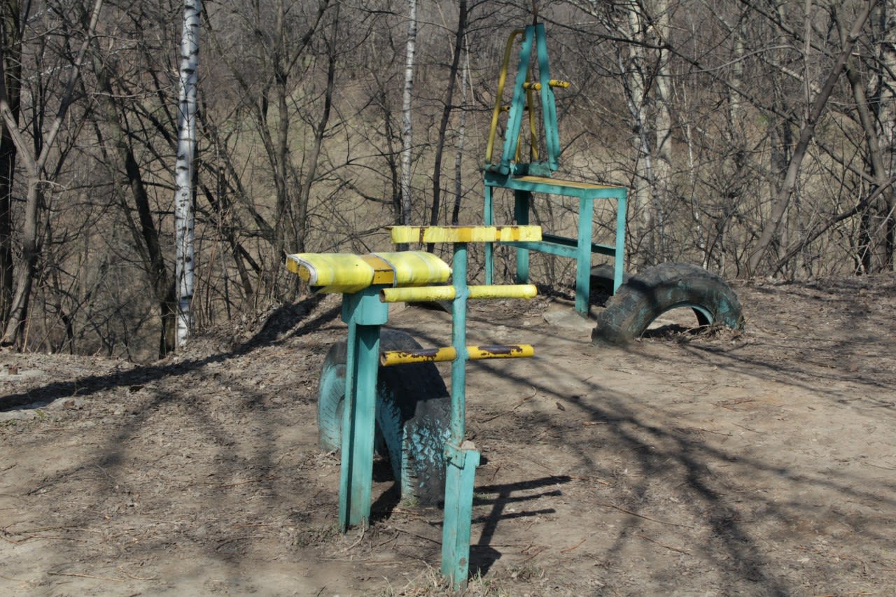 Monkey Bars at Calisthenics Park at проспект Андропова, Москва – photo 9 of 14