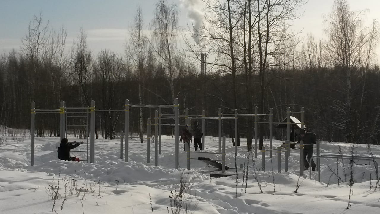 Pull Up Bar at Calisthenics Park at Битцевский проезд, Москва – photo 1 of 2