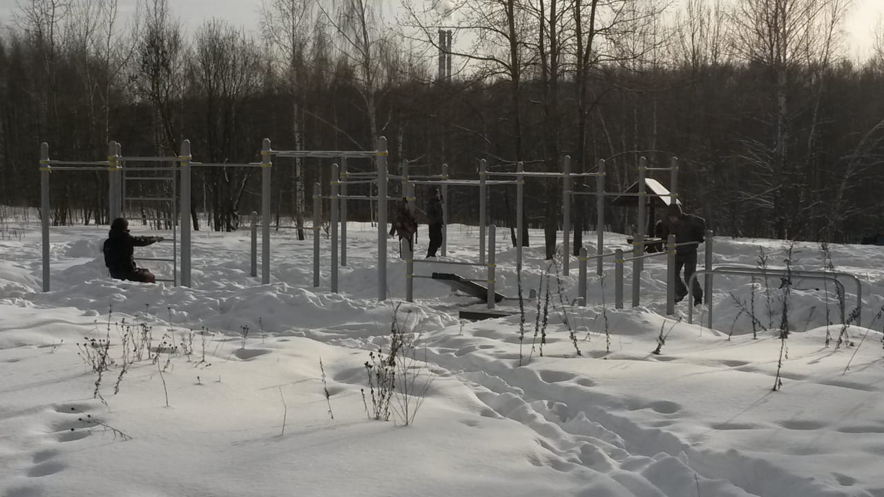 Parallel Gym Bars at Calisthenics Park at Битцевский проезд, Москва – photo 2 of 2