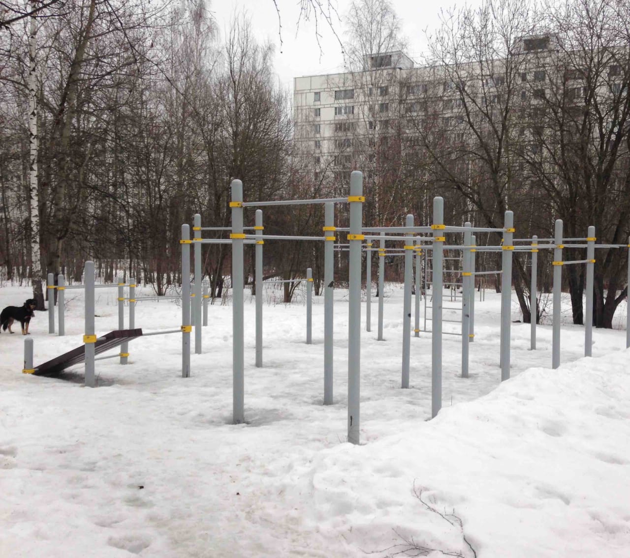 Турнік на майданчику Calisthenics Park at улица Красного Маяка, Москва – фото 1 з 1