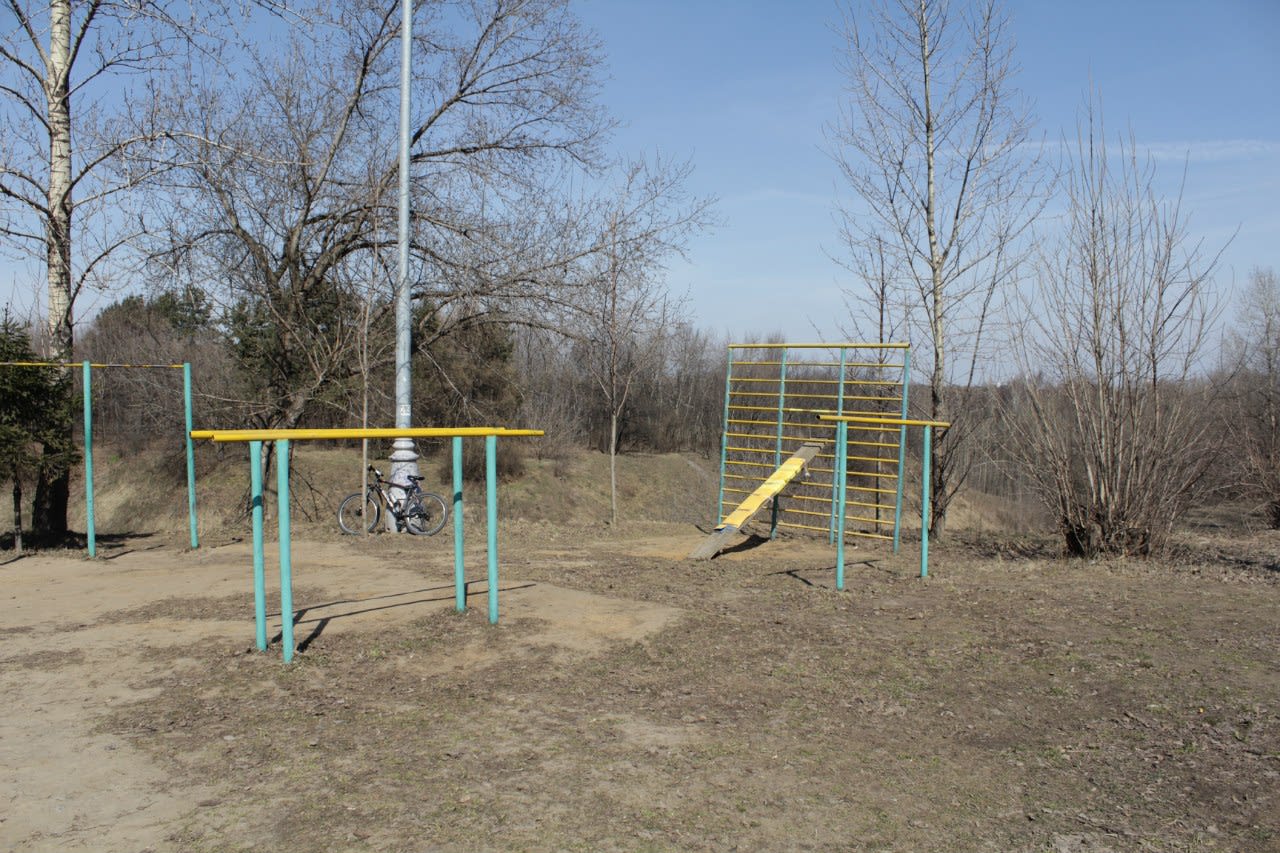 Pull Up Bar at Calisthenics Park at проспект Андропова, Москва – photo 7 of 14