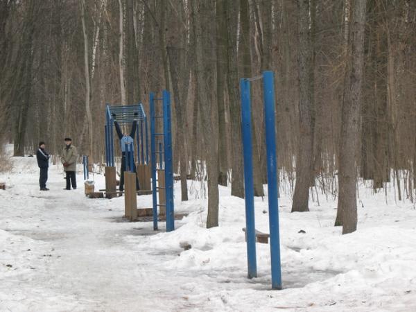 Pull Up Bar at Calisthenics Park at Волоколамское шоссе, Москва – photo 1 of 2