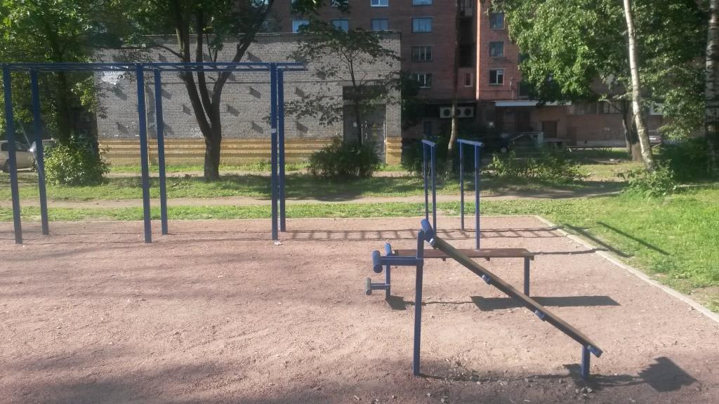 Parallel Gym Bars at Calisthenics Park at проспект Непокорённых, Санкт-Петербург – photo 2 of 5