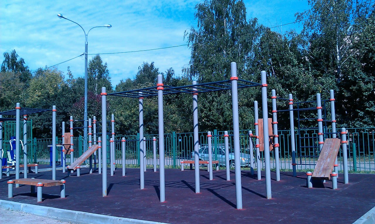 Monkey Bars at Calisthenics Park at улица Вилиса Лациса, Москва – photo 3 of 5
