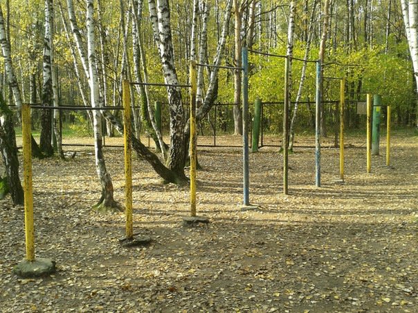 Pull Up Bar at Calisthenics Park at Медик, Москва – photo 1 of 3