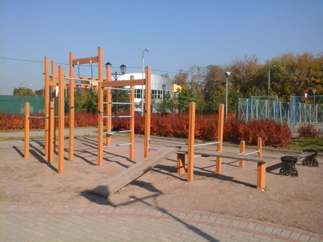 Турнік на майданчику Calisthenics Park at Большая Черкизовская улица, Москва – фото 1 з 3