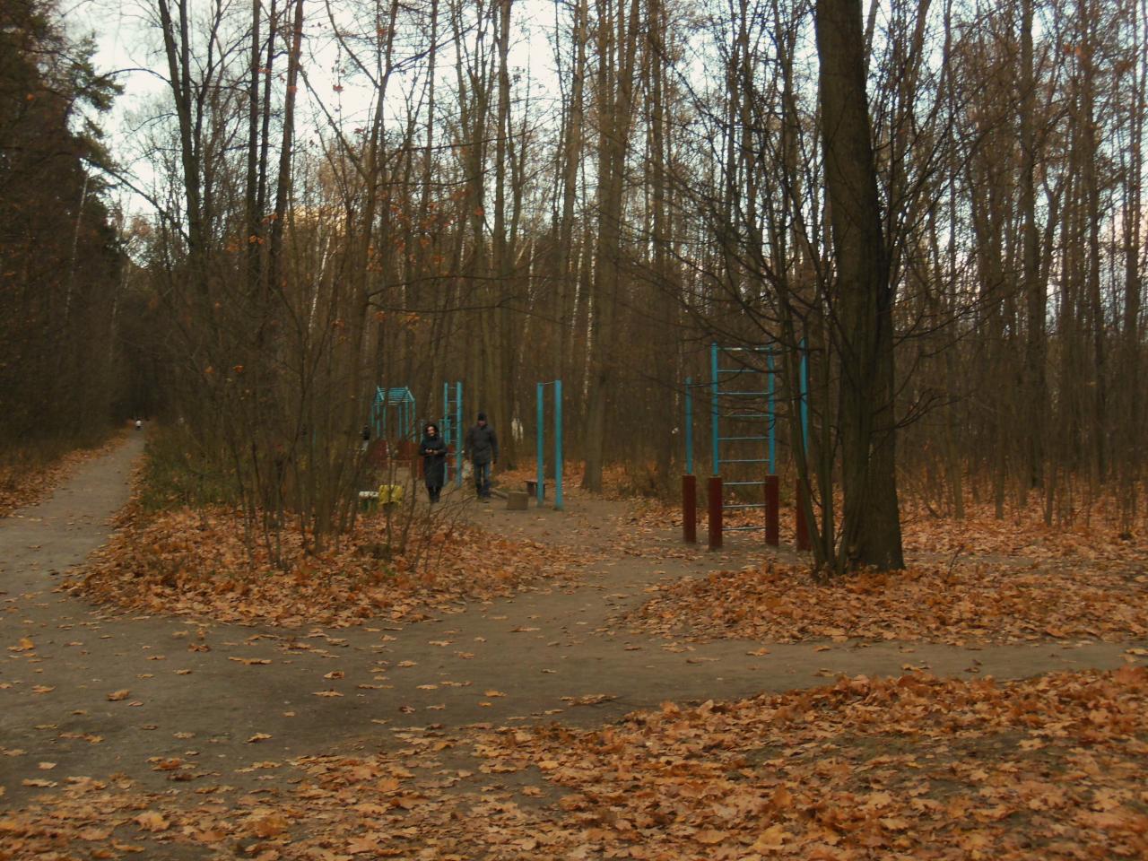 Parallel Gym Bars at Calisthenics Park at Волоколамское шоссе, Москва – photo 2 of 2
