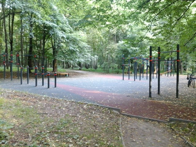 Parallel Gym Bars at Calisthenics Park at улица Олений Вал, Москва – photo 2 of 3