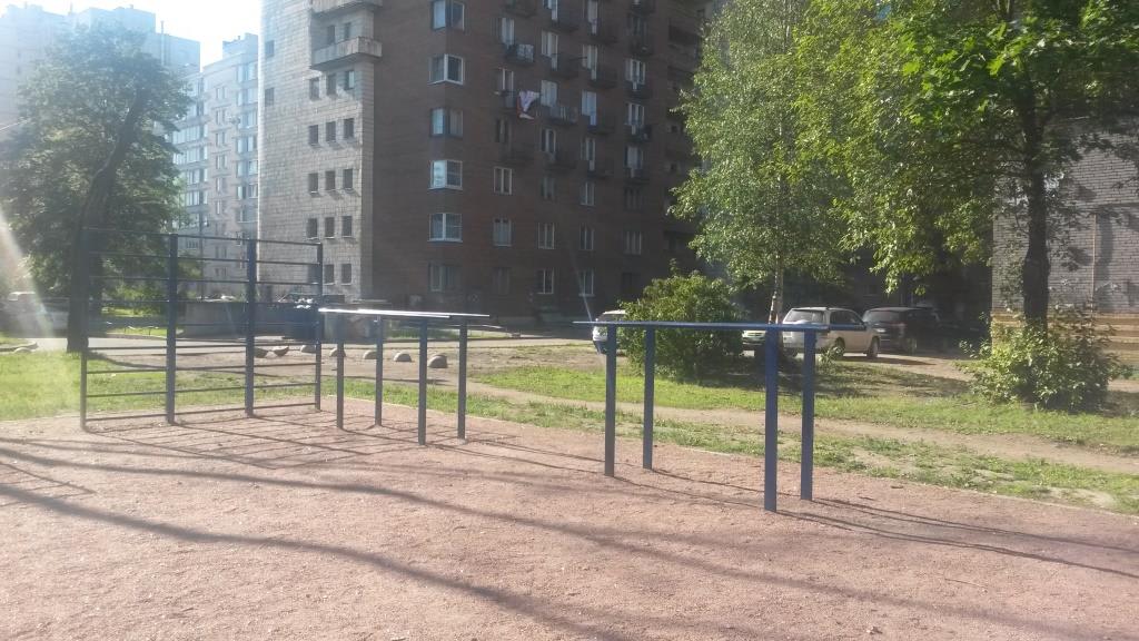 Pull Up Bar at Calisthenics Park at проспект Непокорённых, Санкт-Петербург – photo 1 of 5
