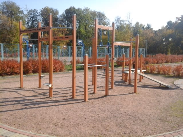 Рукохід на майданчику Calisthenics Park at Большая Черкизовская улица, Москва – фото 3 з 3