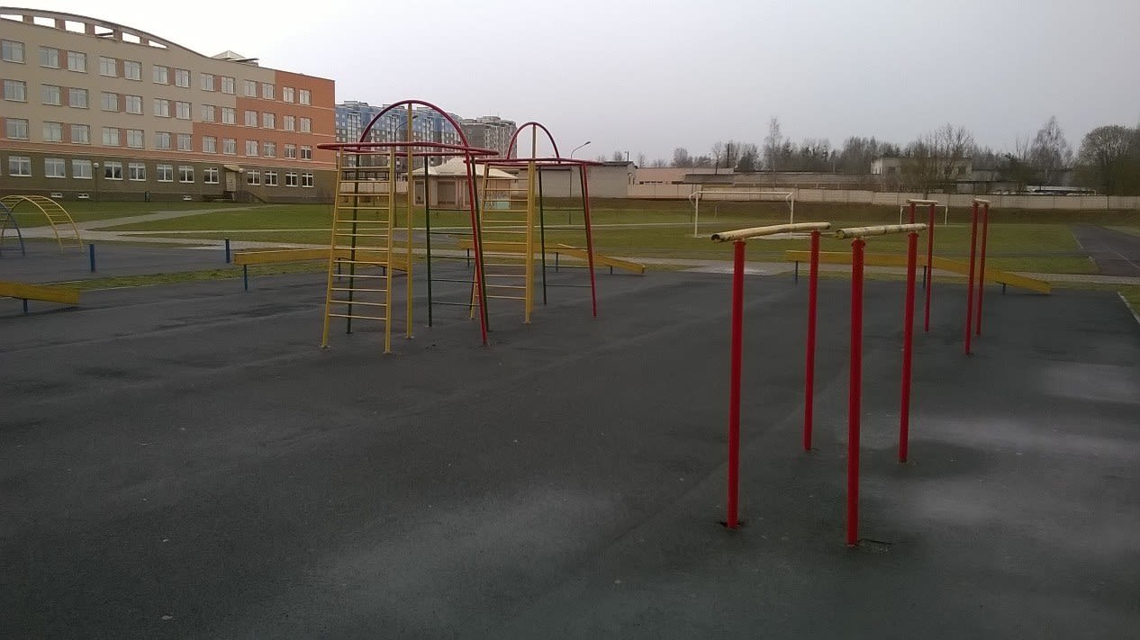 Рукоход на площадке Calisthenics Park at вуліца Вольгі Соламавай, Гродна – фото 3 из 4