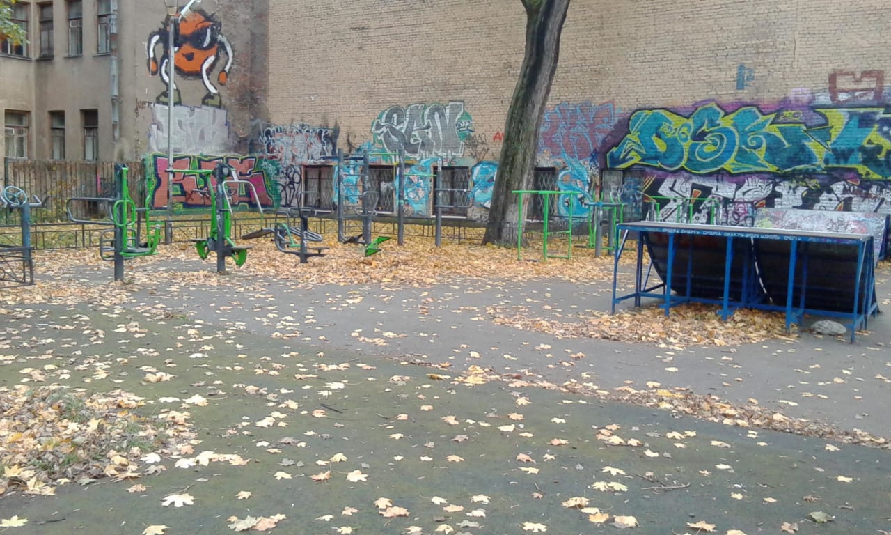 Pull Up Bar at Calisthenics Park at 10-11-я линии В.О., Санкт-Петербург – photo 1 of 5