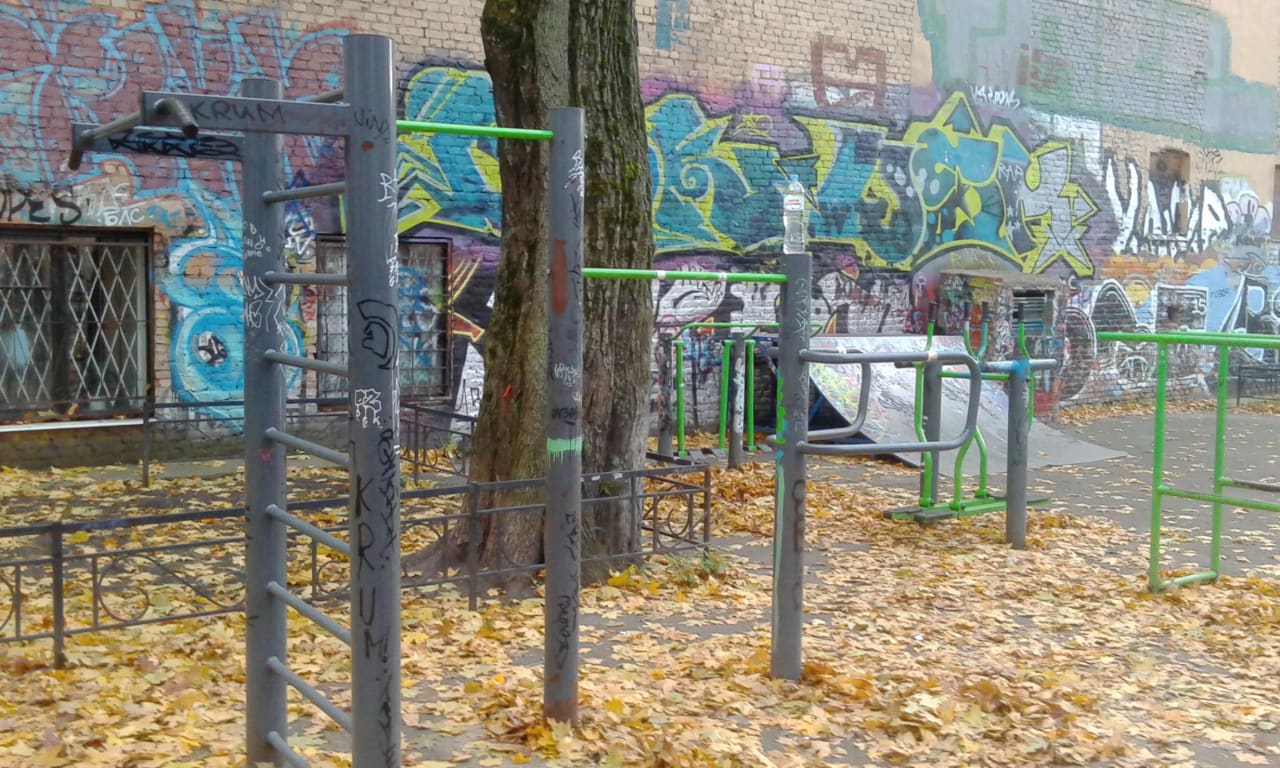 Air Skier at Calisthenics Park at 10-11-я линии В.О., Санкт-Петербург – photo 5 of 5