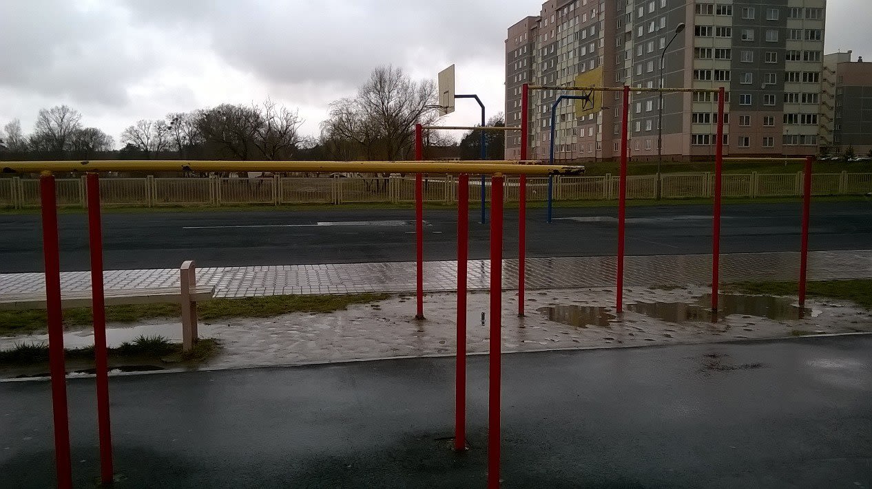 Турник на площадке Calisthenics Park at вуліца Вольгі Соламавай, Гродна – фото 1 из 4