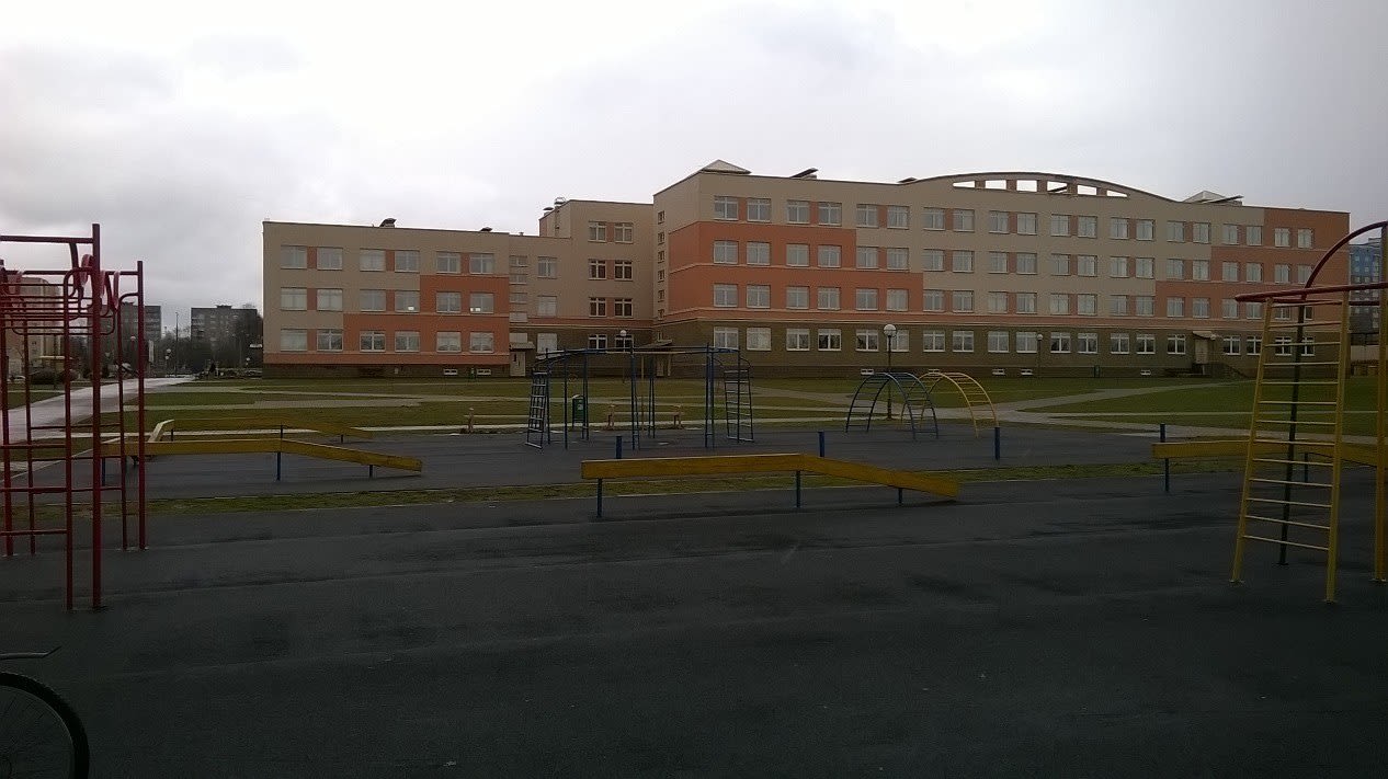 Брусья на площадке Calisthenics Park at вуліца Вольгі Соламавай, Гродна – фото 2 из 4