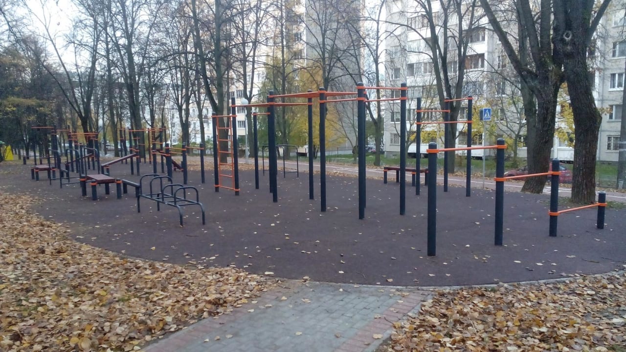 Monkey Bars at Calisthenics Park at Усходняя вуліца, Мінск – photo 4 of 4