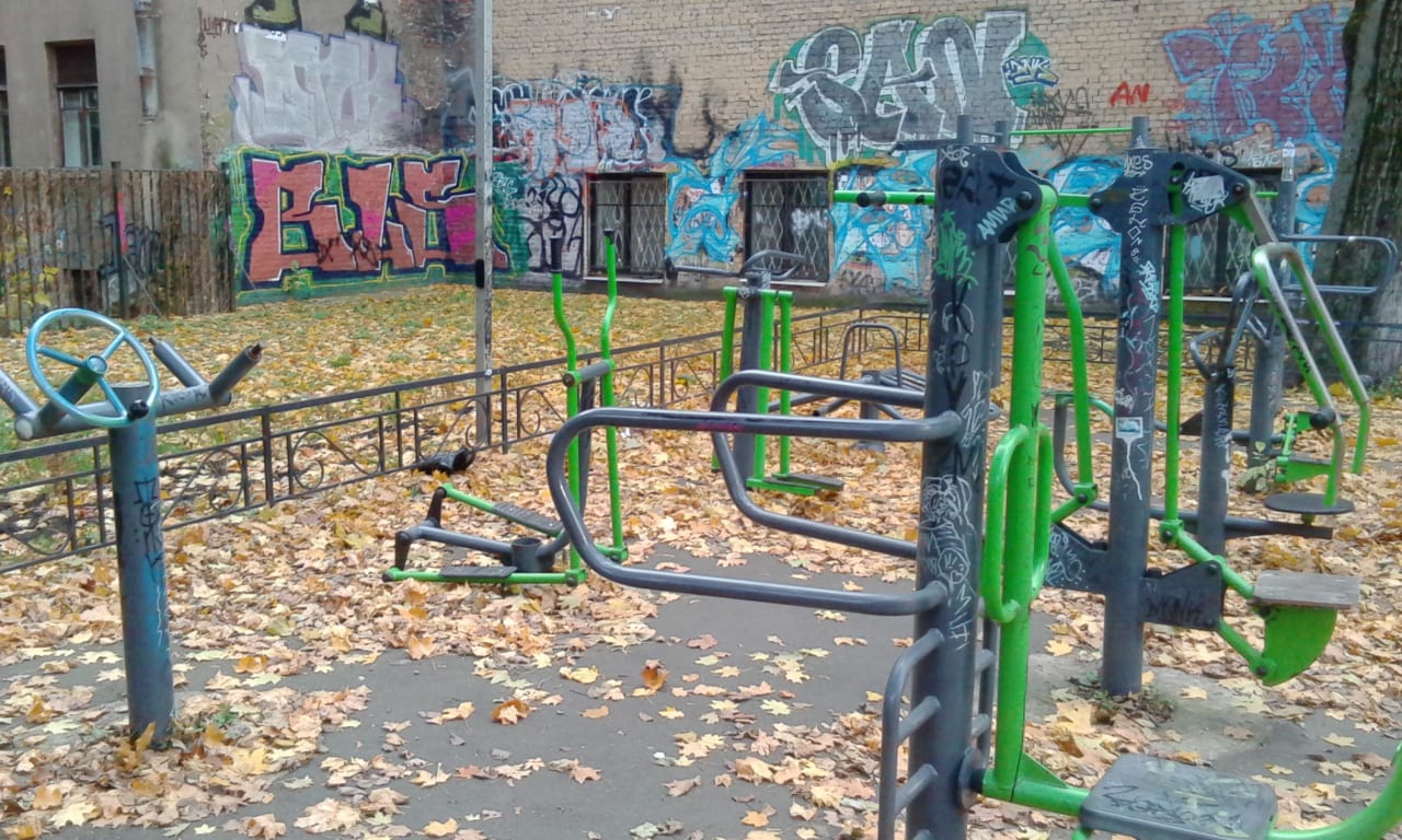 Wall Bars at Calisthenics Park at 10-11-я линии В.О., Санкт-Петербург – photo 3 of 5