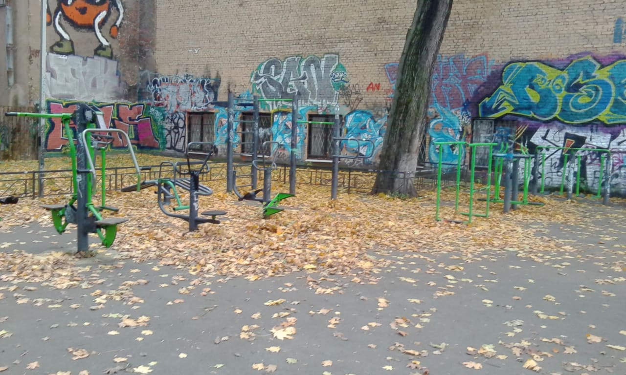 Parallel Gym Bars at Calisthenics Park at 10-11-я линии В.О., Санкт-Петербург – photo 2 of 5