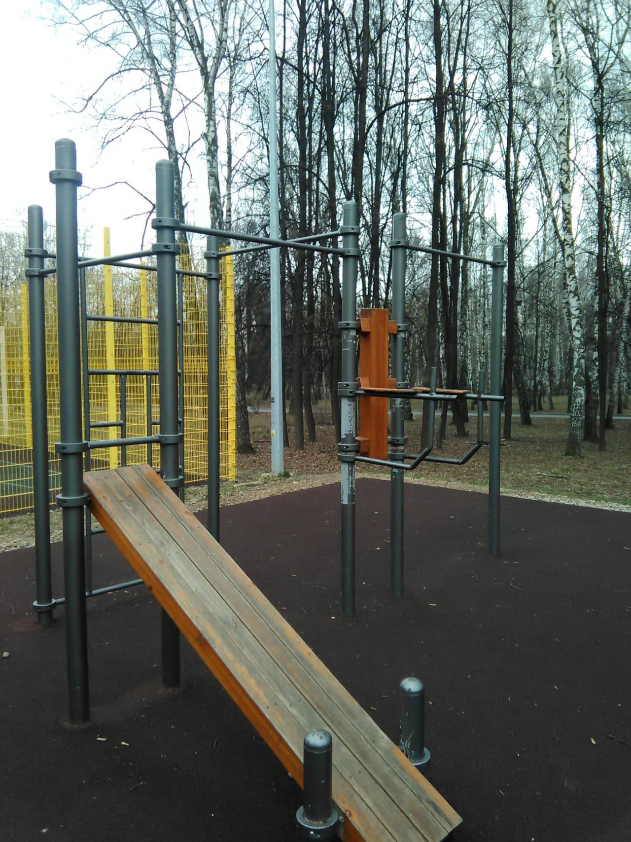 Liegestützgriffe bei Calisthenics Park at Братиславская улица, городской округ Рязань – Foto 5 von 5