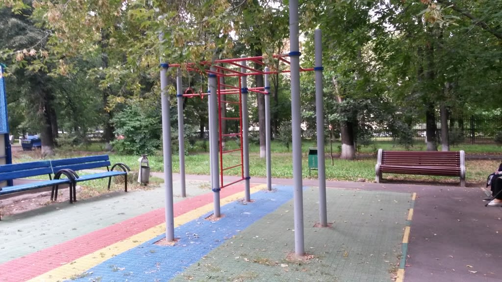 Monkey Bars at Calisthenics Park at Ленинский проспект (дублёр), Москва – photo 3 of 3