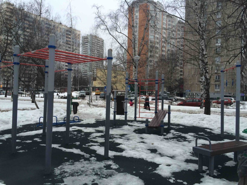 Wall Bars at Calisthenics Park at Черноморский бульвар, Москва #wp1560 – photo 2 of 3