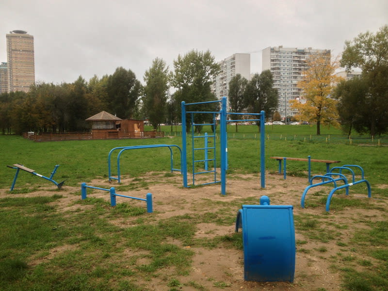 Wall Bars at Calisthenics Park at Строгинское шоссе, Москва – photo 2 of 4