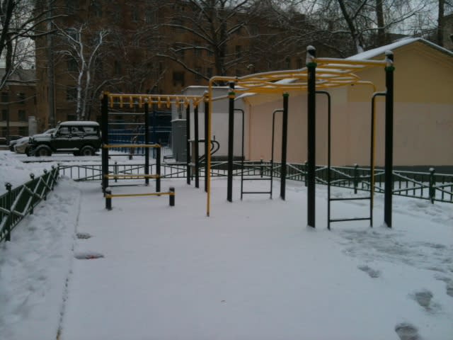 Рукоход на площадке Calisthenics Park at Новоконюшенный переулок, Москва – фото 2 из 2
